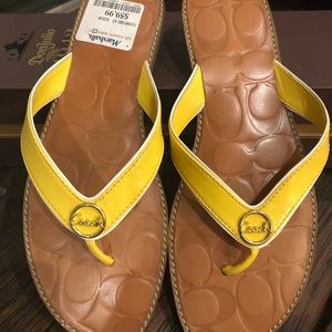 Brand new never worn